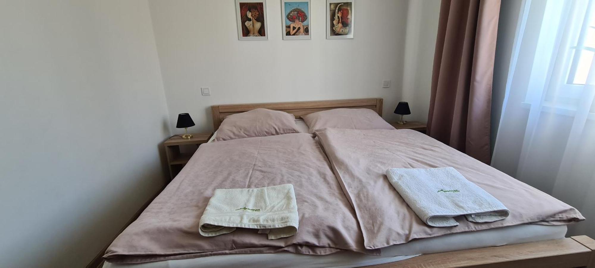 Apartman U Toma Frýdlant nad Ostravicí 외부 사진
