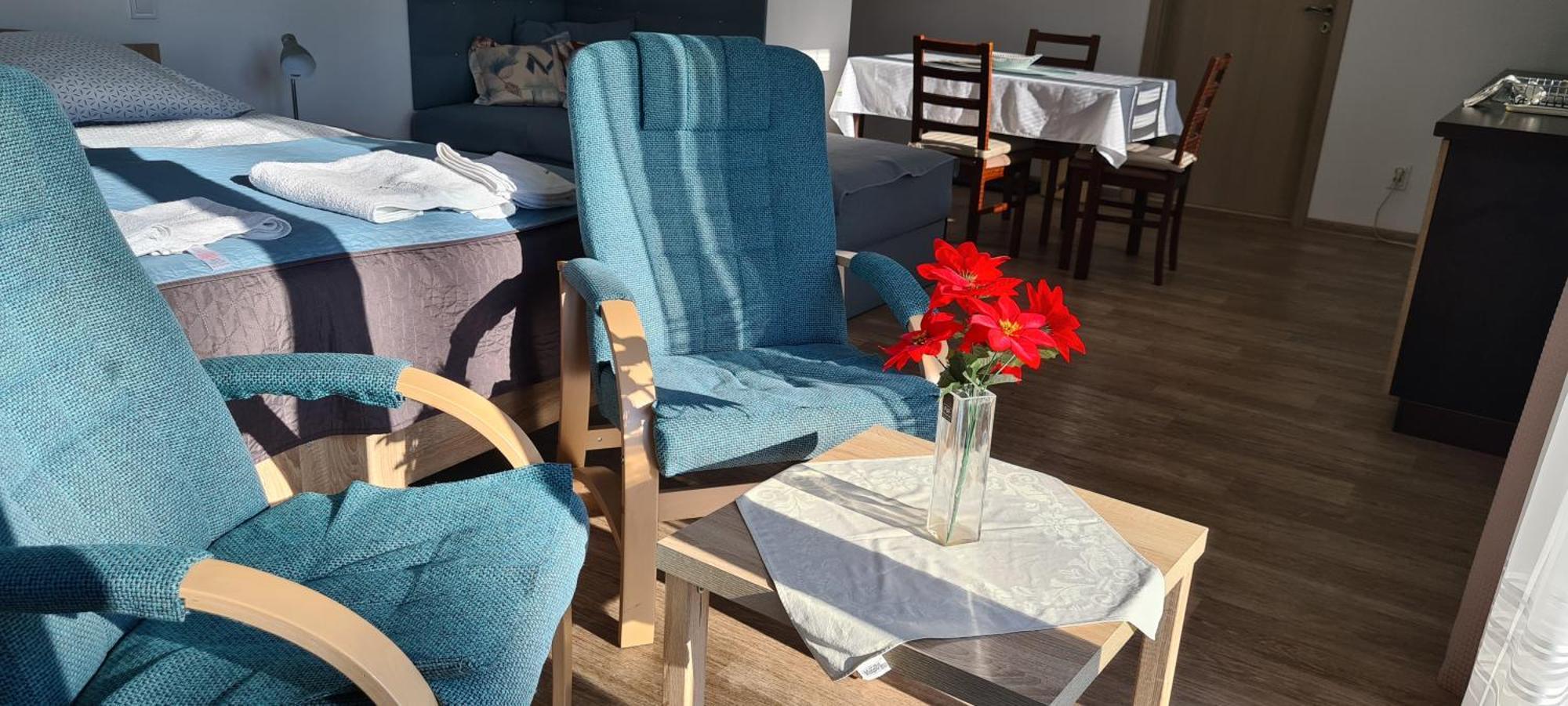 Apartman U Toma Frýdlant nad Ostravicí 외부 사진